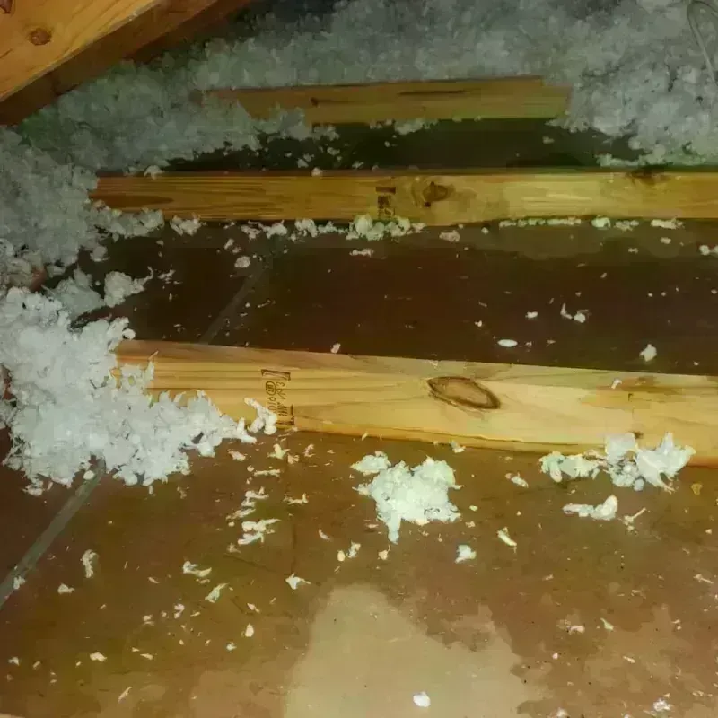 Attic Water Damage in Scottsburg, IN